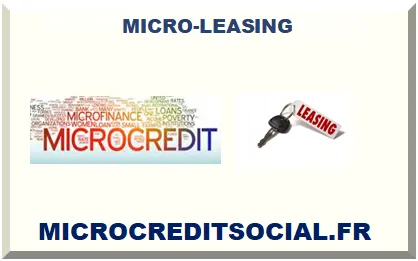 MICRO-LEASING